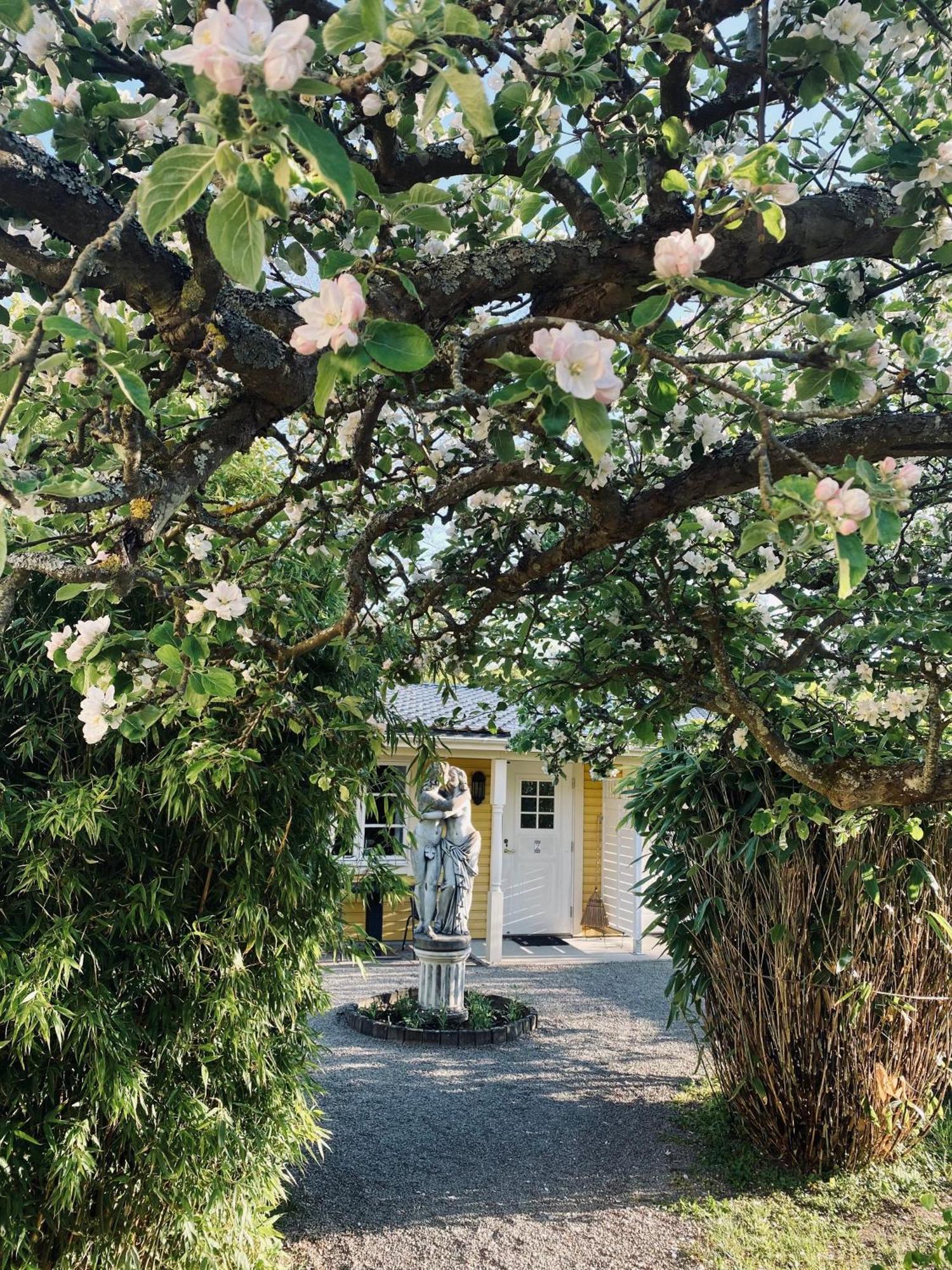 Villa Sol B&B And Hostel Borgholm Zewnętrze zdjęcie